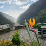 Madeira Madeira
